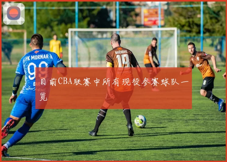 目前CBA联赛中所有现役参赛球队一览