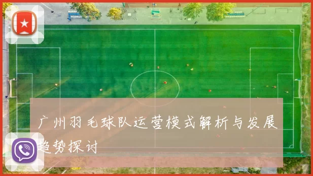 广州羽毛球队运营模式解析与发展趋势探讨