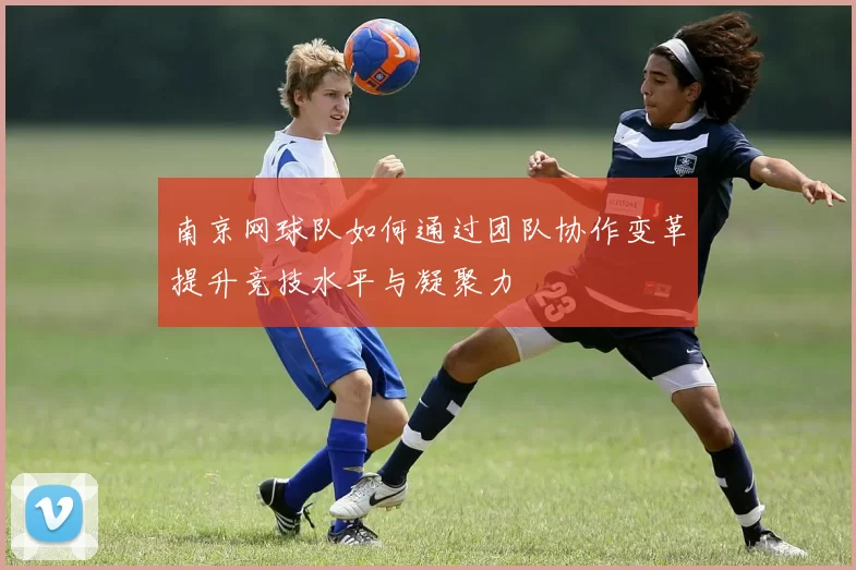 南京网球队如何通过团队协作变革提升竞技水平与凝聚力