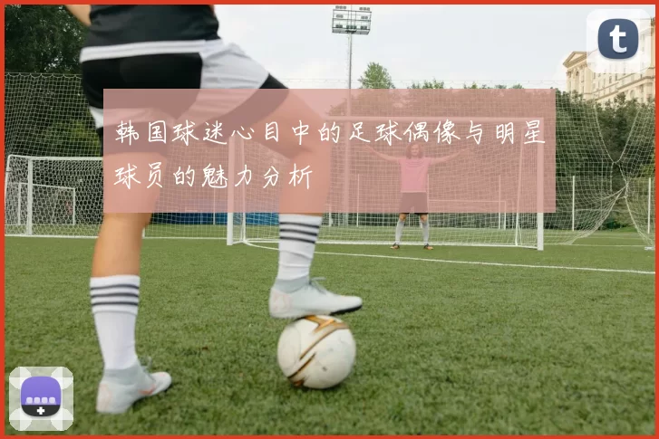 韩国球迷心目中的足球偶像与明星球员的魅力分析
