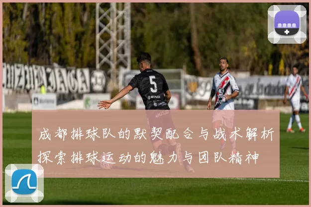 成都排球队的默契配合与战术解析探索排球运动的魅力与团队精神