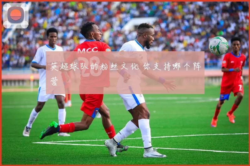 英超球队的粉丝文化 你支持哪个阵营